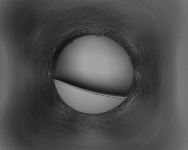 X0000088141490200705141021