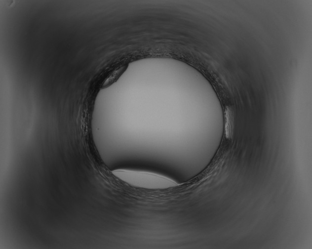 X0000088141491200705141021