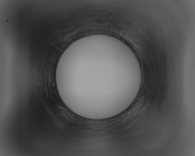 X0000088141492200705141021