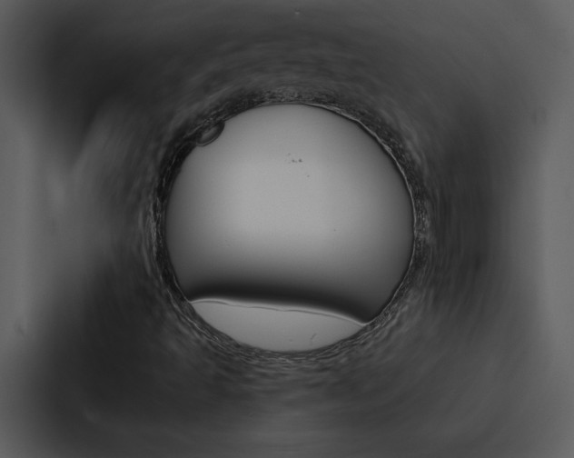 X0000088141493200705141021