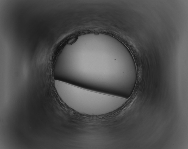 X0000088141494200705141021