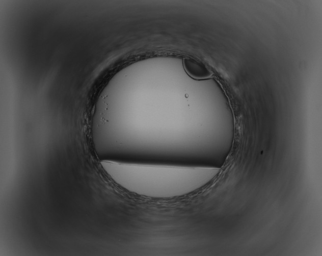 X0000088141495200705141021