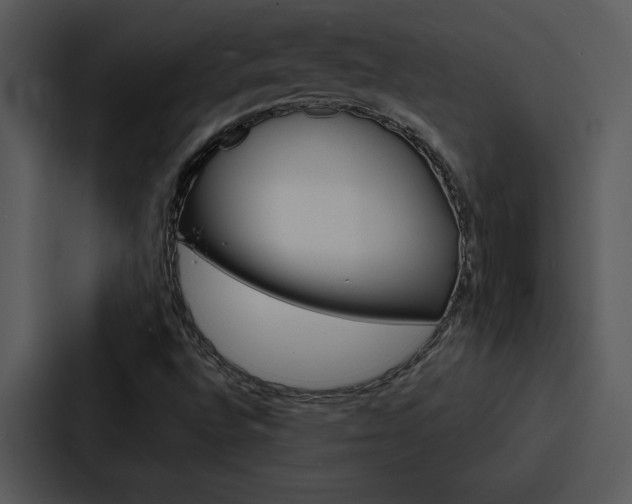 X0000088141496200705141021