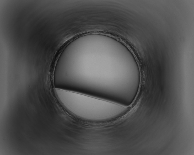 X0000088141497200705141021
