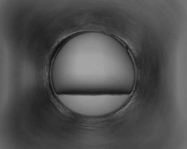 X0000088141499200705141021