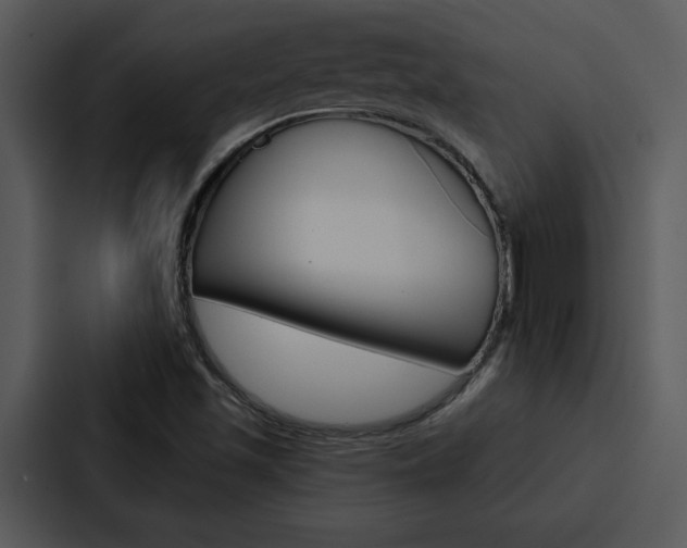 X0000088141501200705141021