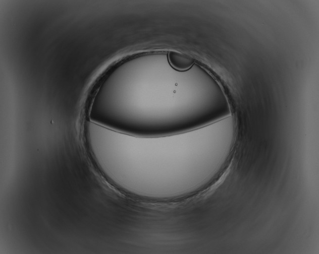 X0000088141502200705141021