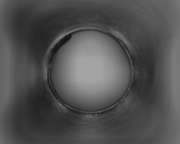 X0000088141504200705141021