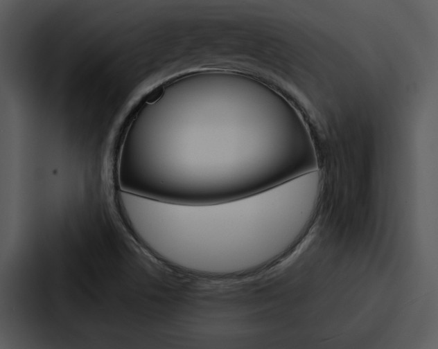 X0000088141506200705141021