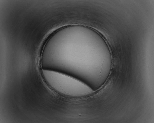 X0000088141507200705141021