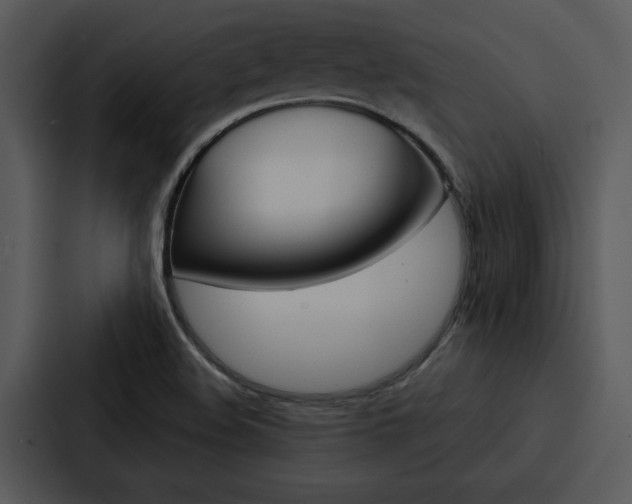 X0000088141508200705141021