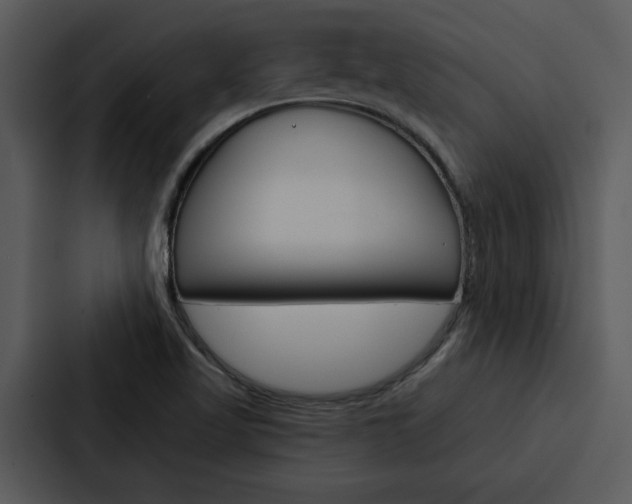 X0000088141509200705141021
