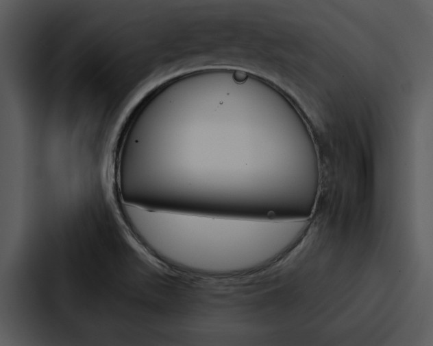 X0000088141511200705141021