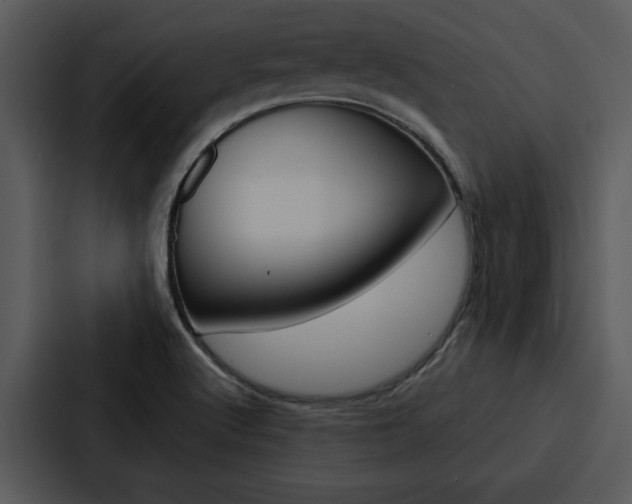 X0000088141512200705141021