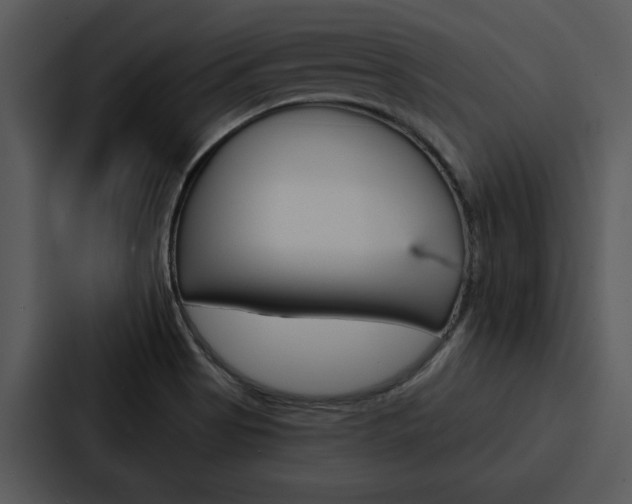 X0000088141513200705141021