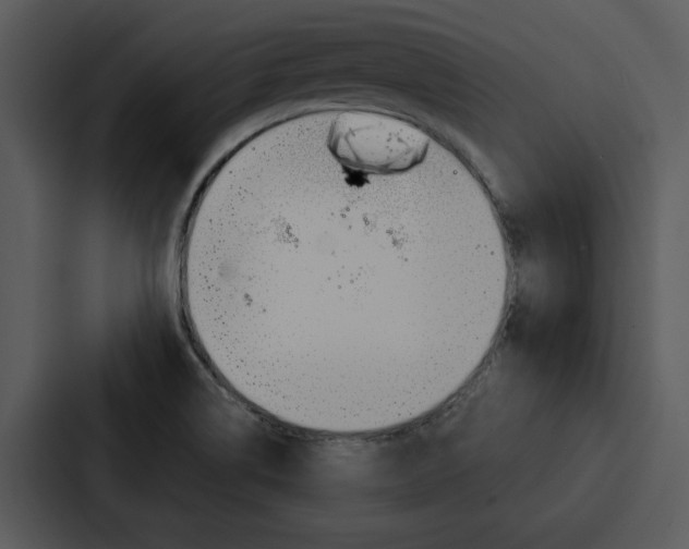 X0000088141514200705141021