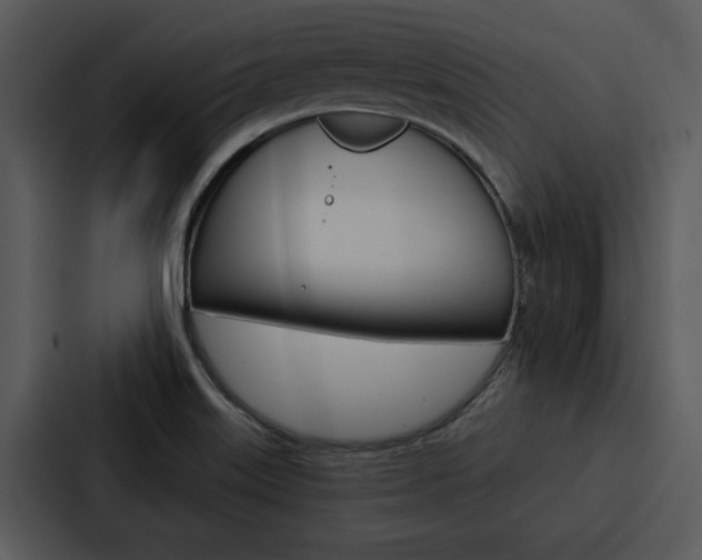 X0000088141515200705141021