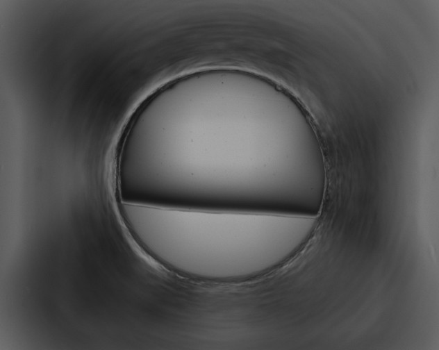 X0000088141519200705141021
