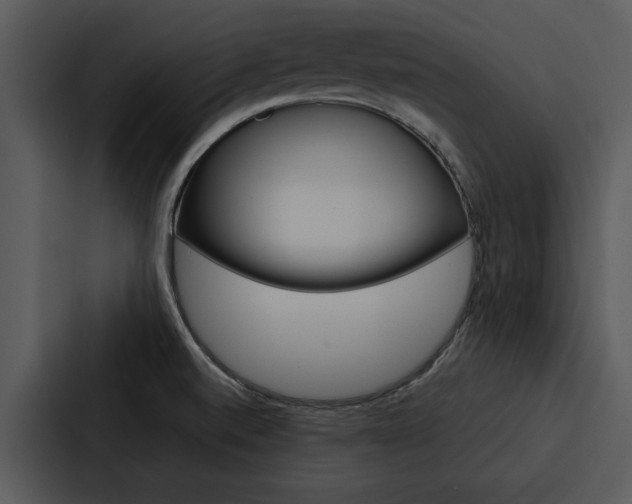 X0000088141520200705141021