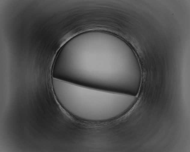 X0000088141521200705141021