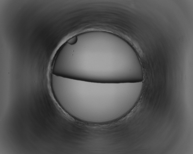 X0000088141522200705141021