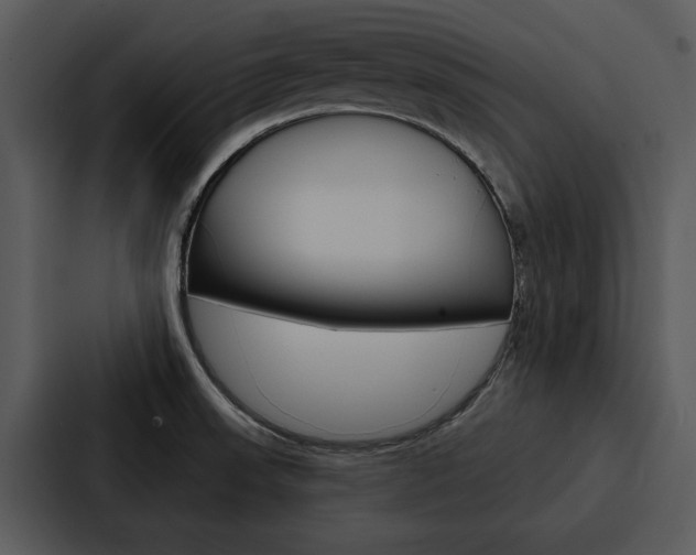 X0000088141523200705141021