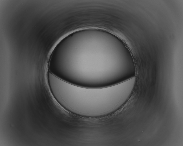 X0000088141524200705141021