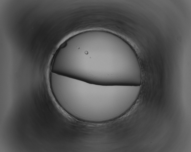 X0000088141526200705141021