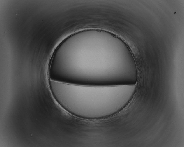 X0000088141527200705141021