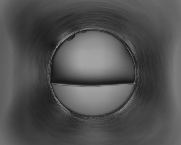 X0000088141529200705141021