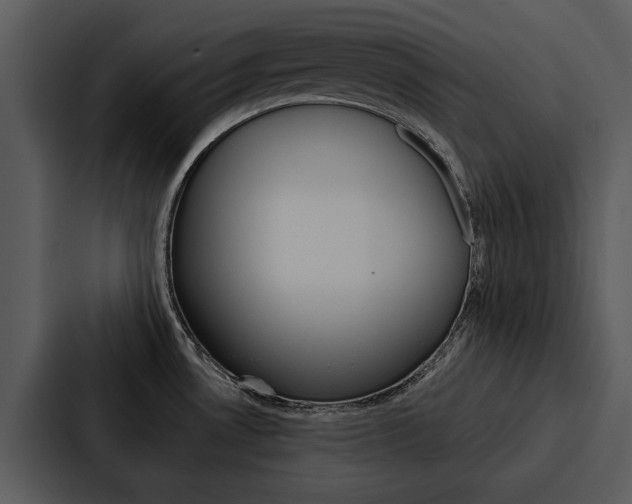 X0000088141530200705141021