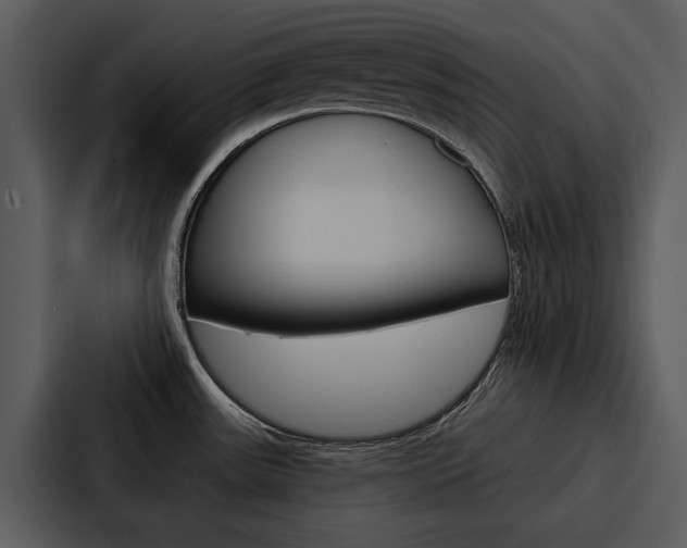 X0000088141531200705141021
