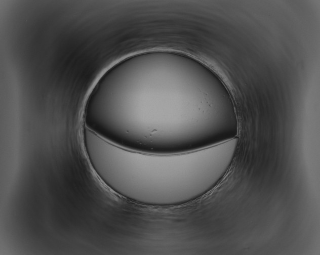 X0000088141532200705141021