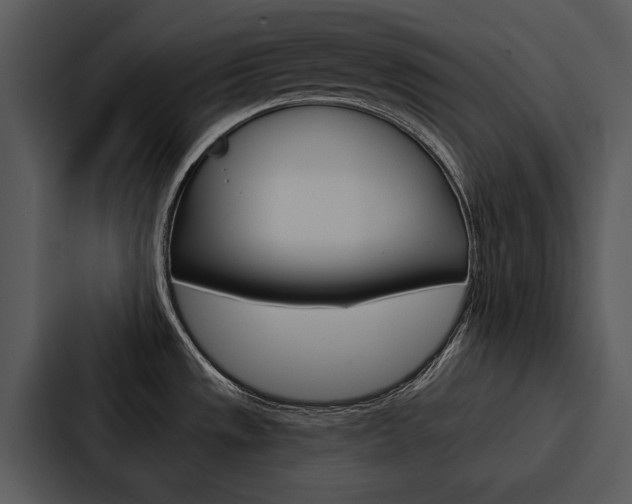X0000088141533200705141021