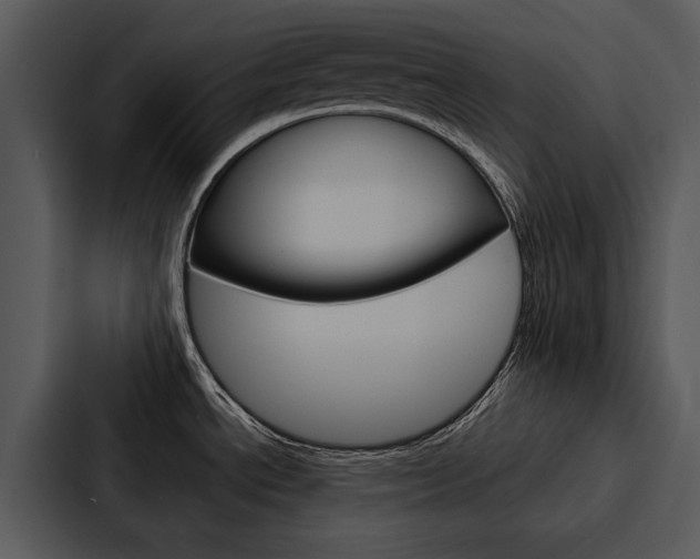 X0000088141534200705141022