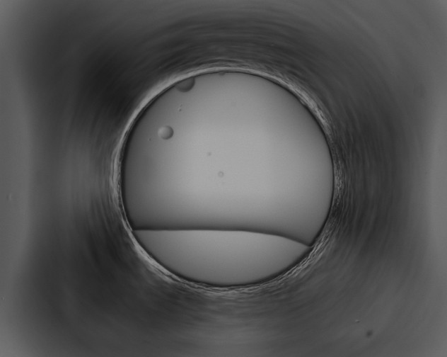 X0000088141535200705141022