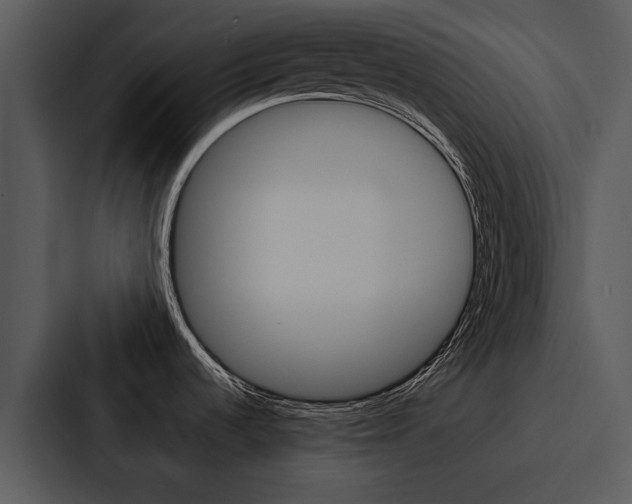 X0000088141536200705141022