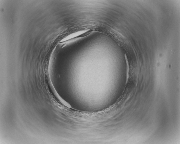 X0000088140037200705141522
