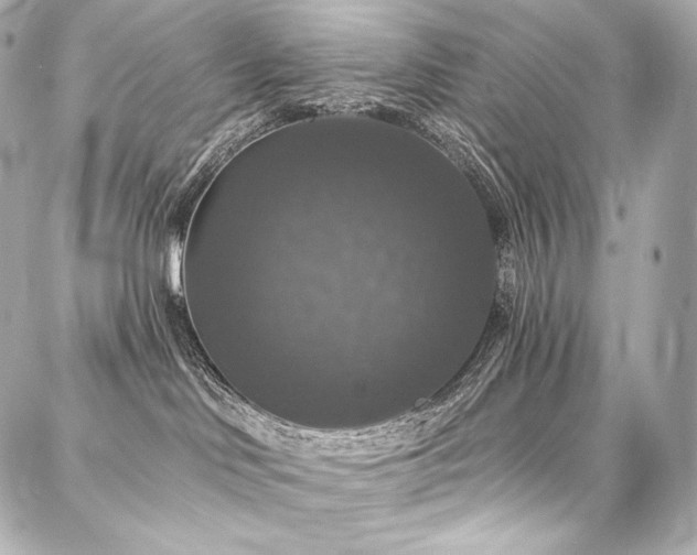 X0000088140046200705141522