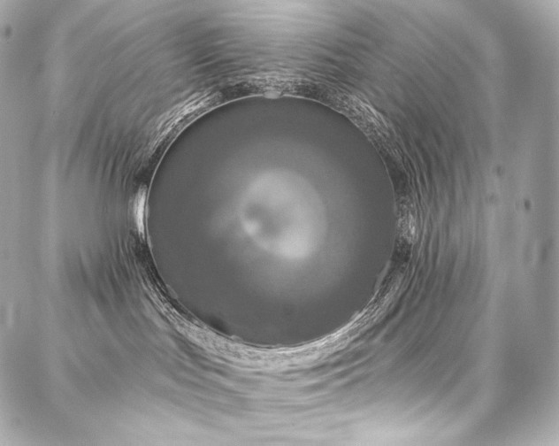 X0000088140047200705141522