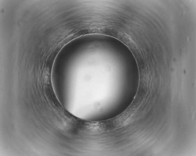 X0000088140083200705141521