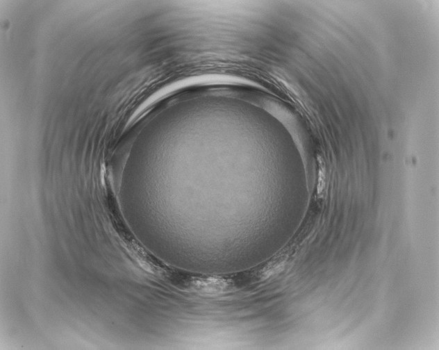 X0000088140125200705141520