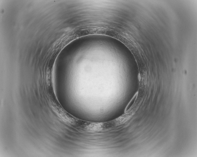 X0000088140138200705141520