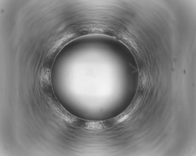 X0000088140141200705141520