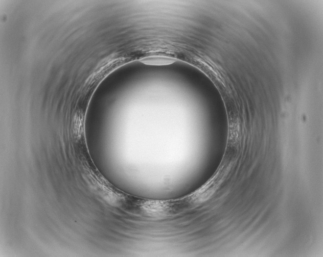 X0000088140142200705141520