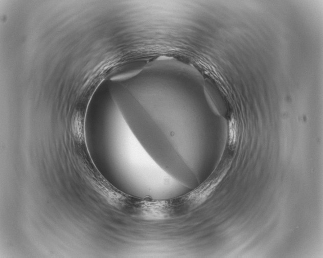 X0000088140143200705141520
