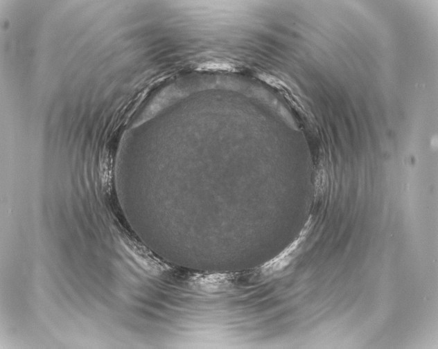 X0000088140186200705141520