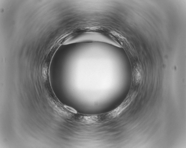 X0000088140188200705141520