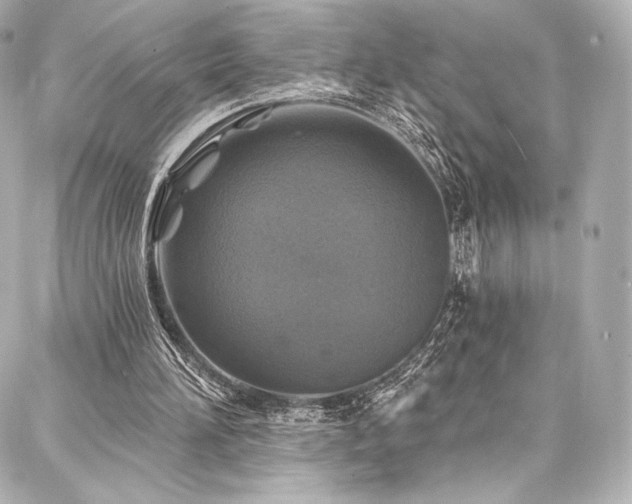 X0000088140196200705141519