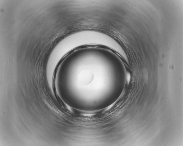 X0000088140215200705141519